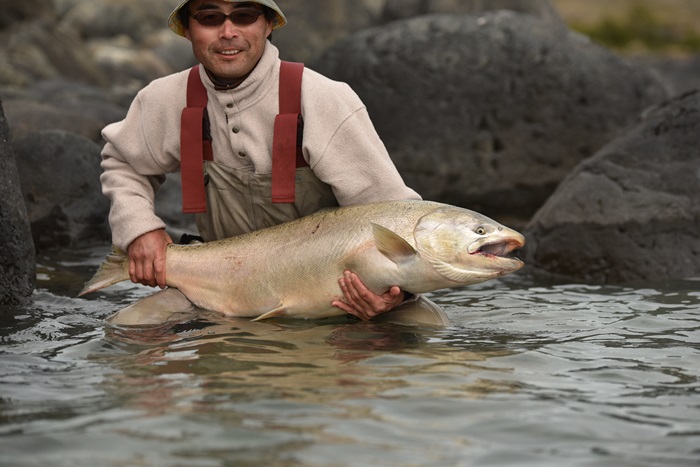 .Seaトラウトブローチ(パタゴニアキングサーモン/ウッド製）１点物 River.Seaトラウトブローチ(パタゴニアキングサーモン/ウッド製